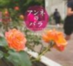 アンネのバラの表紙