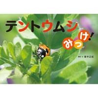 テントウムシみっけ