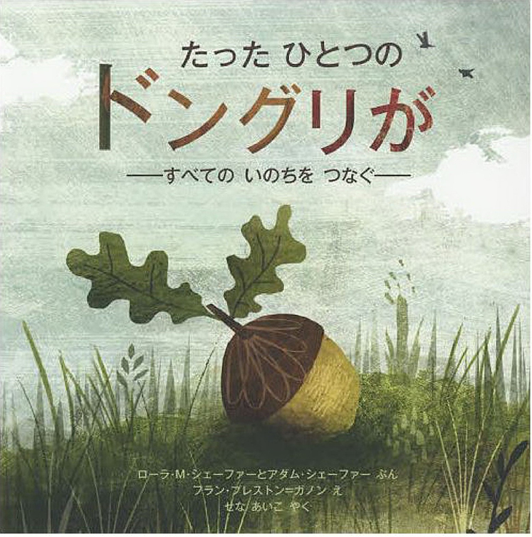 たったひとつのドングリがの表紙